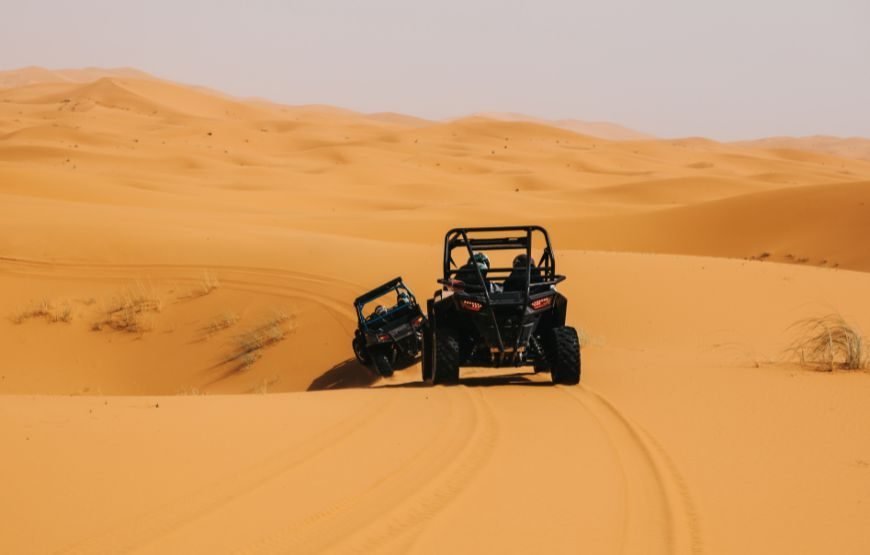 Dune Buggy Desert Safari