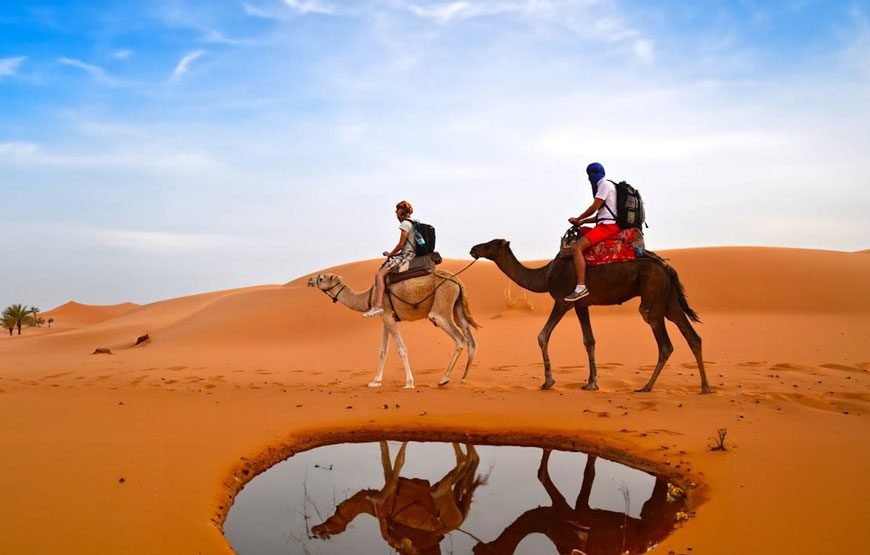 Camel Ride Tour