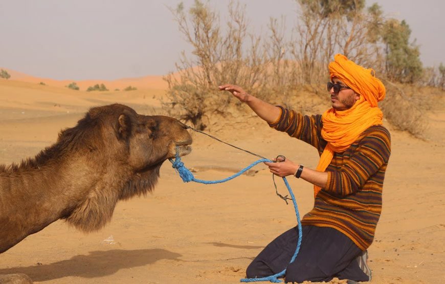 Camel Ride Tour