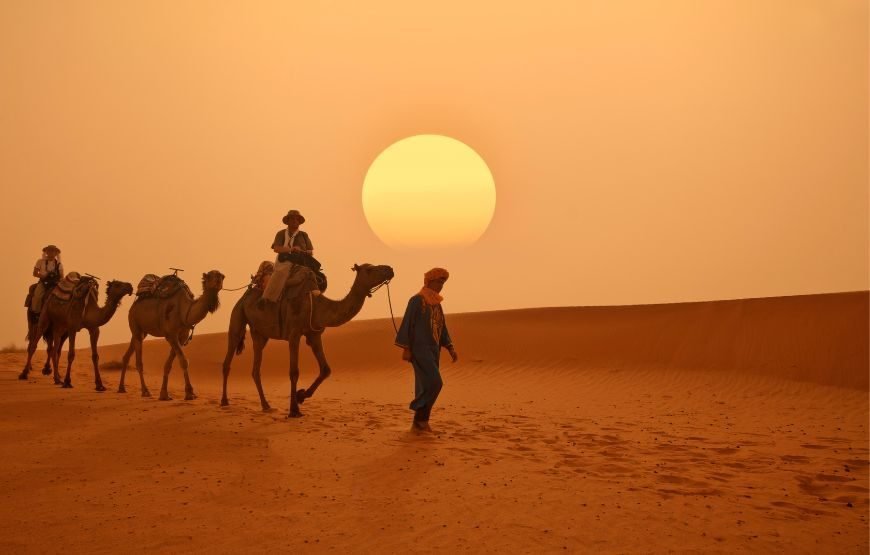 Camel Ride Tour